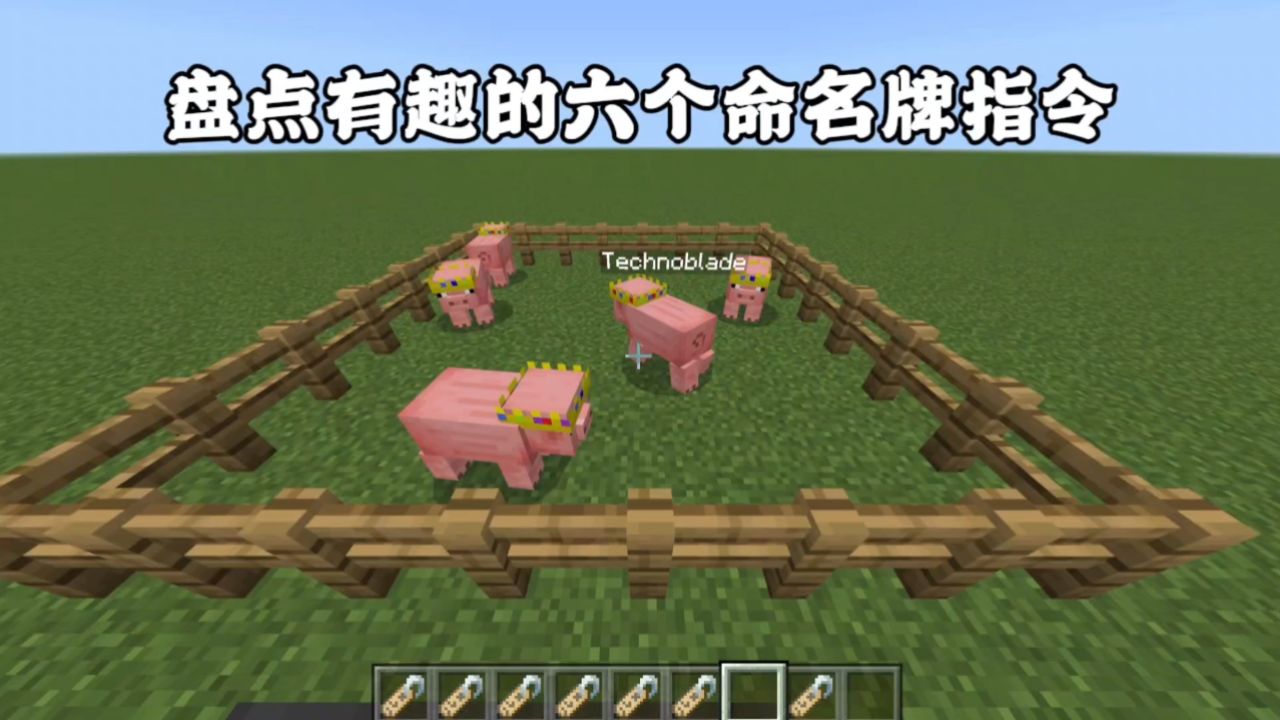我的世界手机版命令牌我的世界指令手机版命令大全-第2张图片-太平洋在线下载